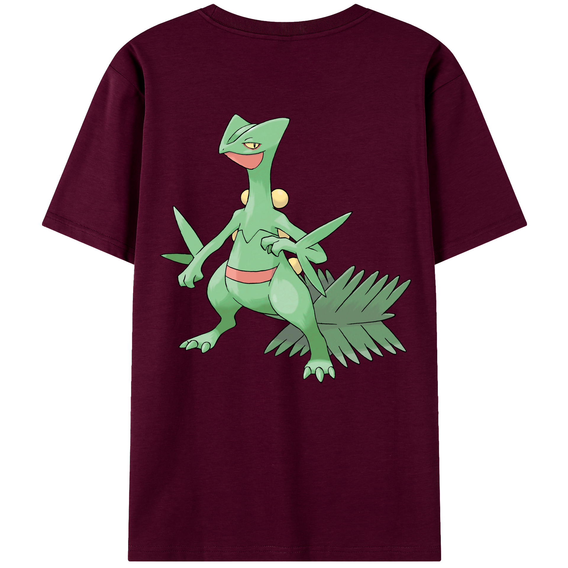 （画像用） ポケットモンスター Pokémon レディース半袖Tシャツ(バックプリント)
